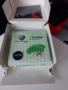 Taart om de samenwerking met TSG Group te vieren.